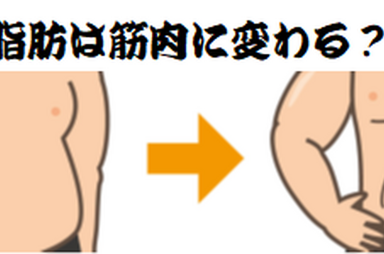 脂肪は筋肉に変わるの