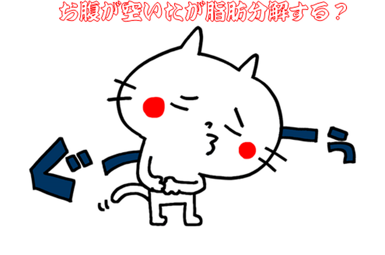 20230731お腹が空いたが脂肪を分解する