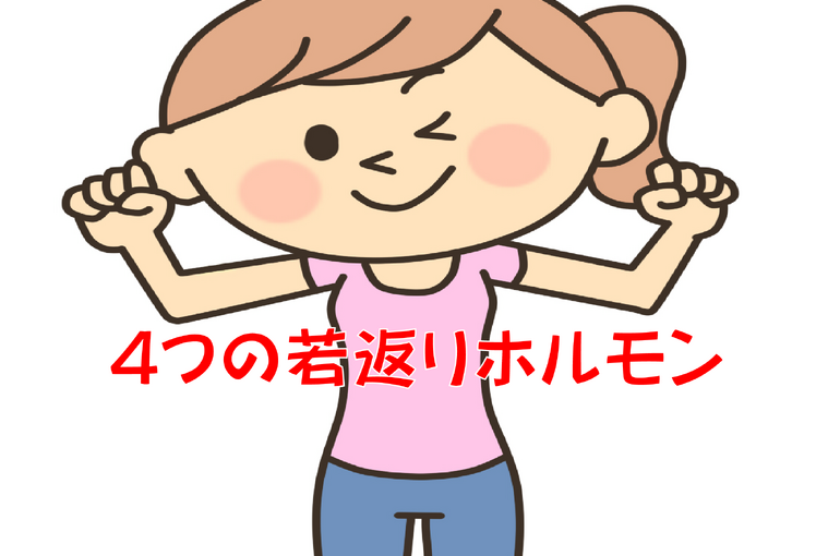 202311024つの若返りホルモン